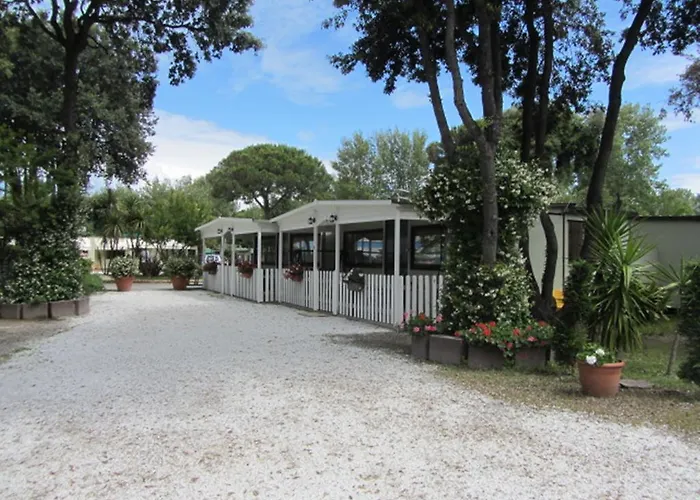 Camping Pineta