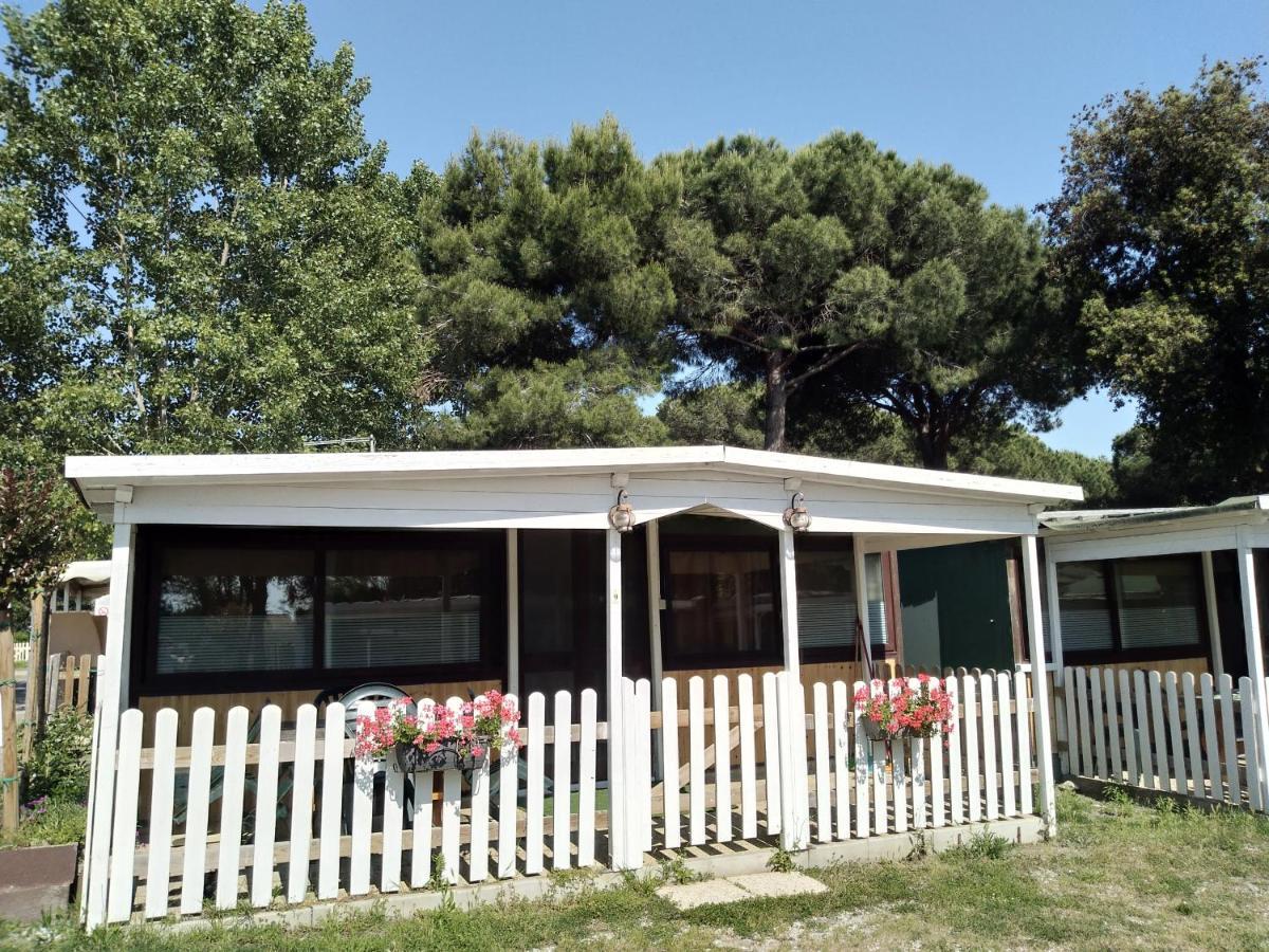 Pineta Campingplatz