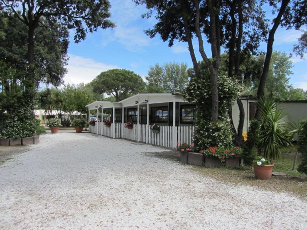 Campingplatz Pineta Calambrone